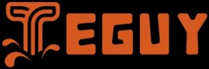 Teguy logo