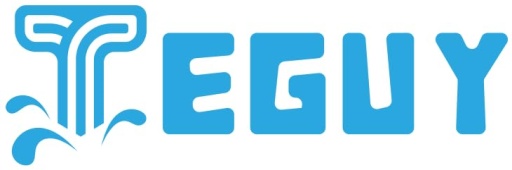 Teguy logo